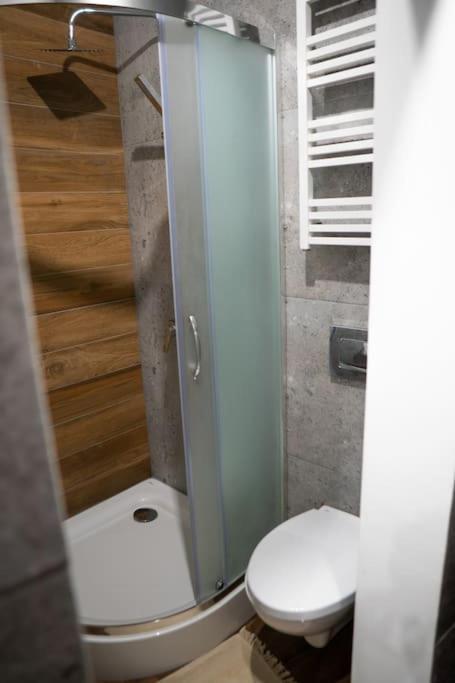 Lovely One-bedroom Loft 3 Minutes From Kazimierz Apartment